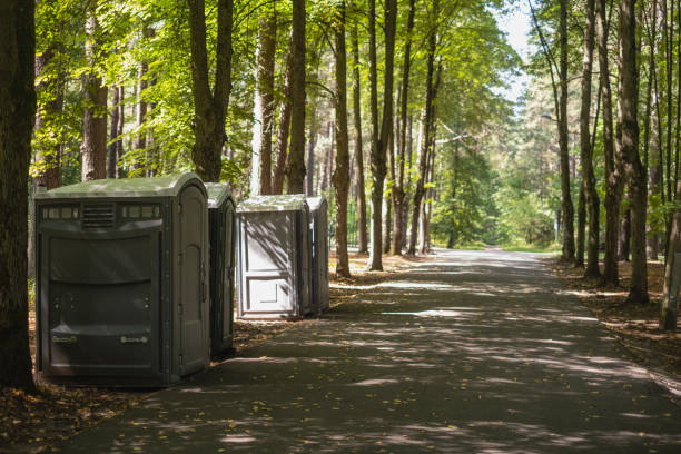 Best Affordable portable toilet rental  in Greenville, MS